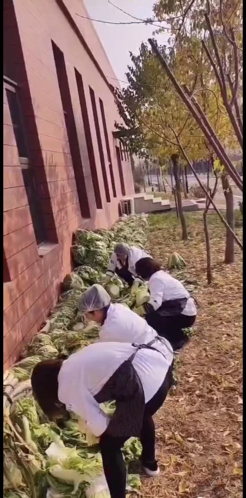 &#24320;&#20113;&#30331;&#38470;&#20837;&#21475;&#45;&#24320;&#20113;&#40;&#20013;&#22269;&#41;